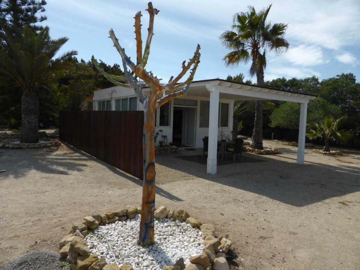Casa de Campo Casa Jardin
